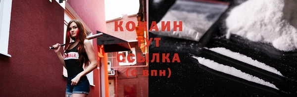 гидра Заводоуковск