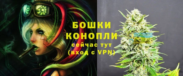 гидра Заводоуковск