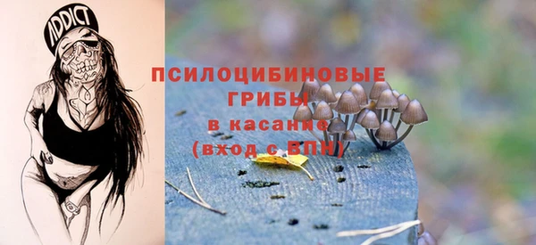 гидра Заводоуковск