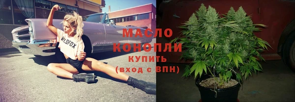 гидра Заводоуковск